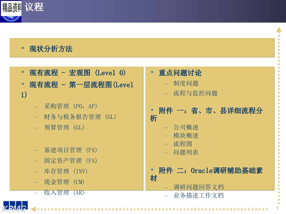 中国电信业务流程优化项目分析报告