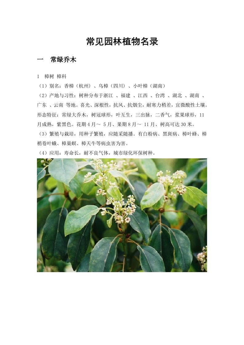 园林工程-常见园林植物名录附图片