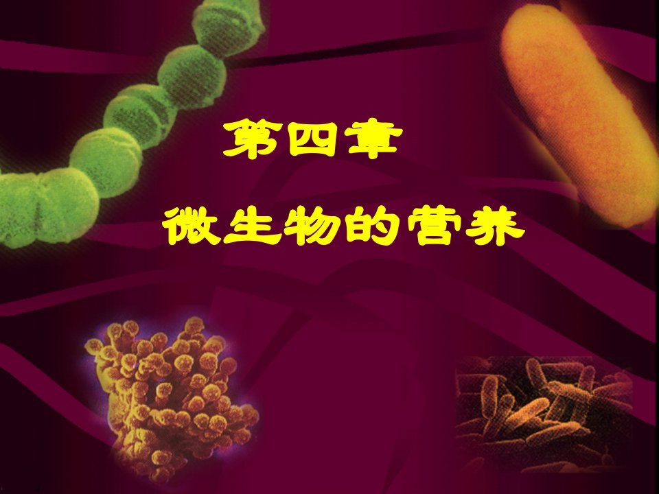 微生物学第四章微生物的营养与培养基课件