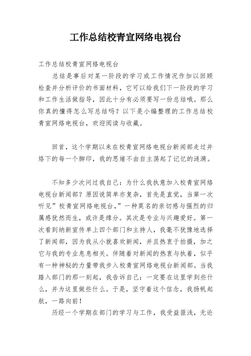 工作总结校青宣网络电视台