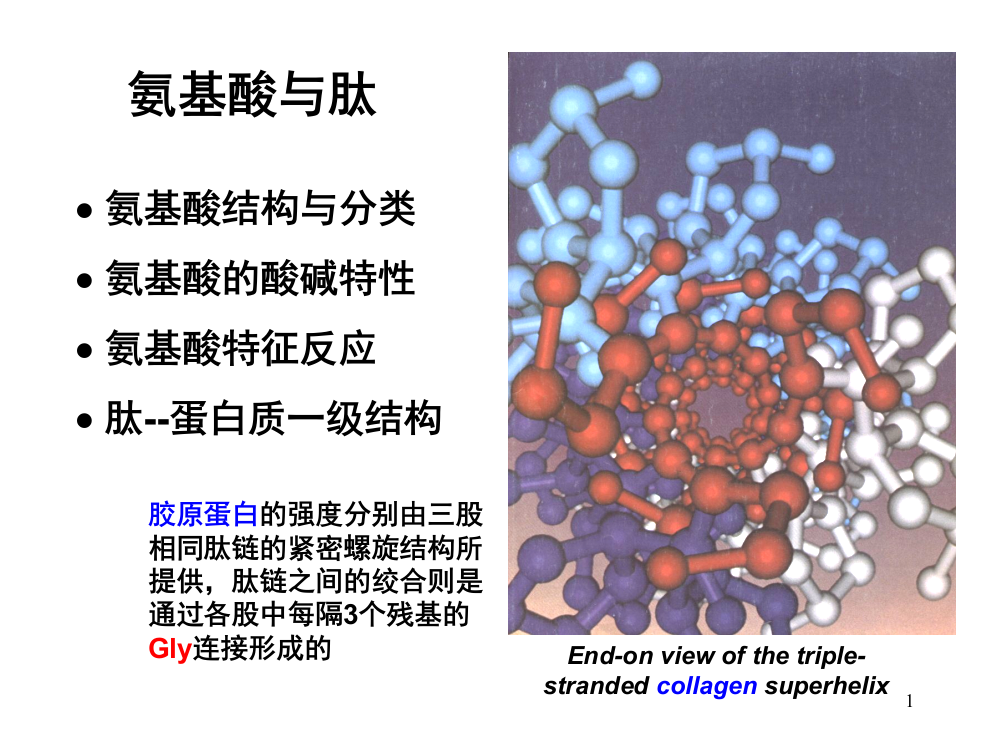 生物化学04氨基酸与肽ppt