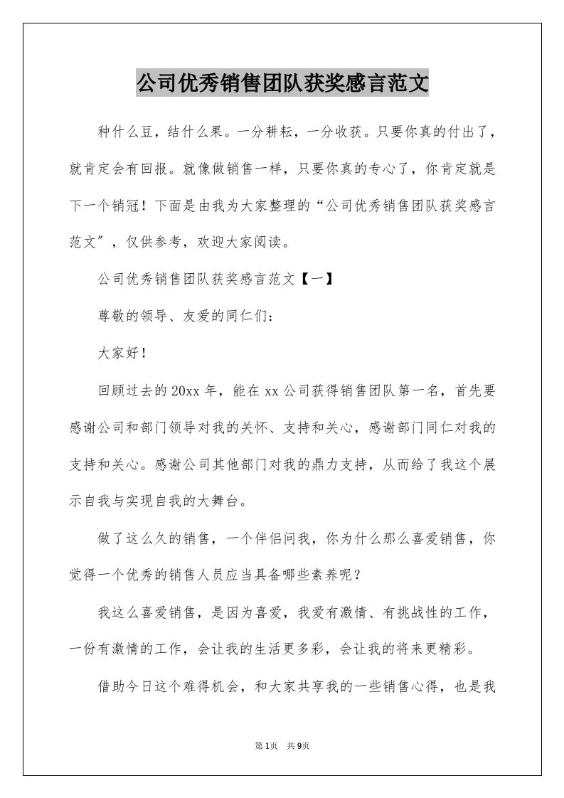 公司优秀销售团队获奖感言范文