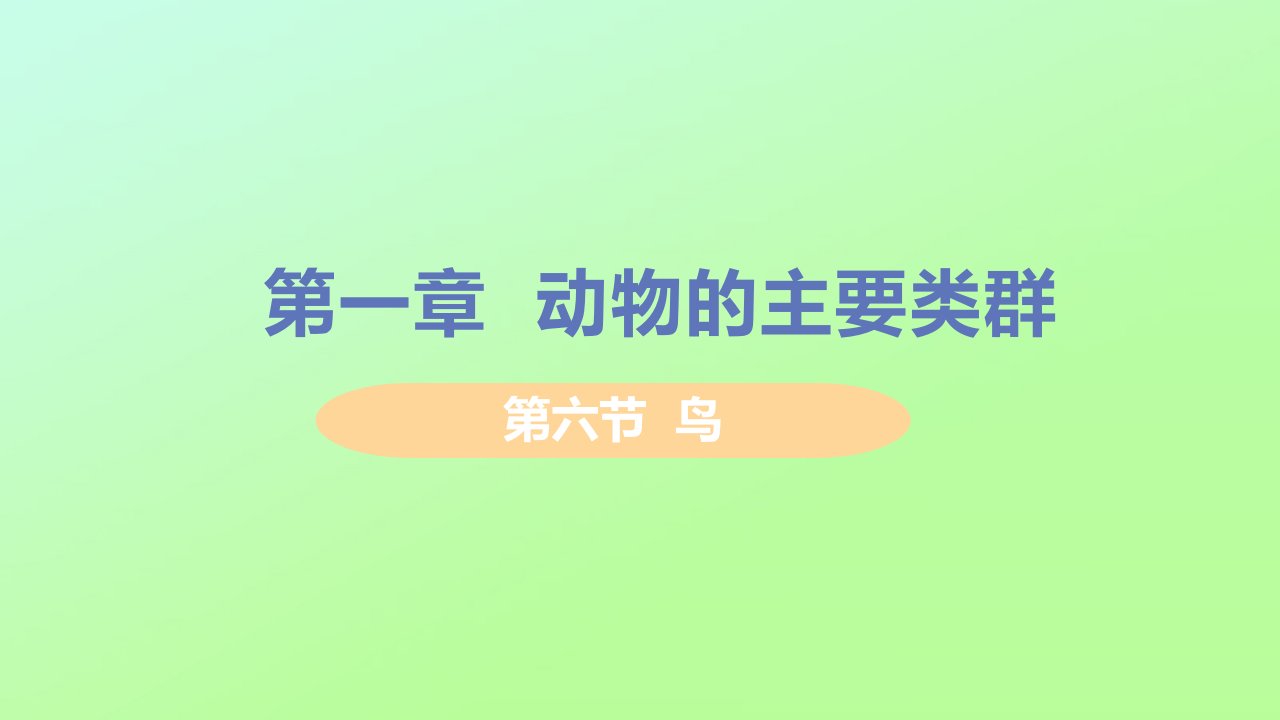 八年级生物上册第五单元生物圈中的其他生物第一章动物的主要类群第六节鸟教学课件新版新人教版