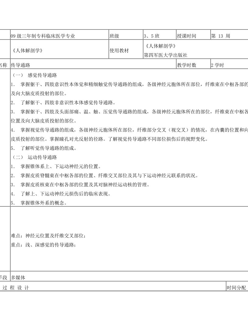 神经系统传导通路