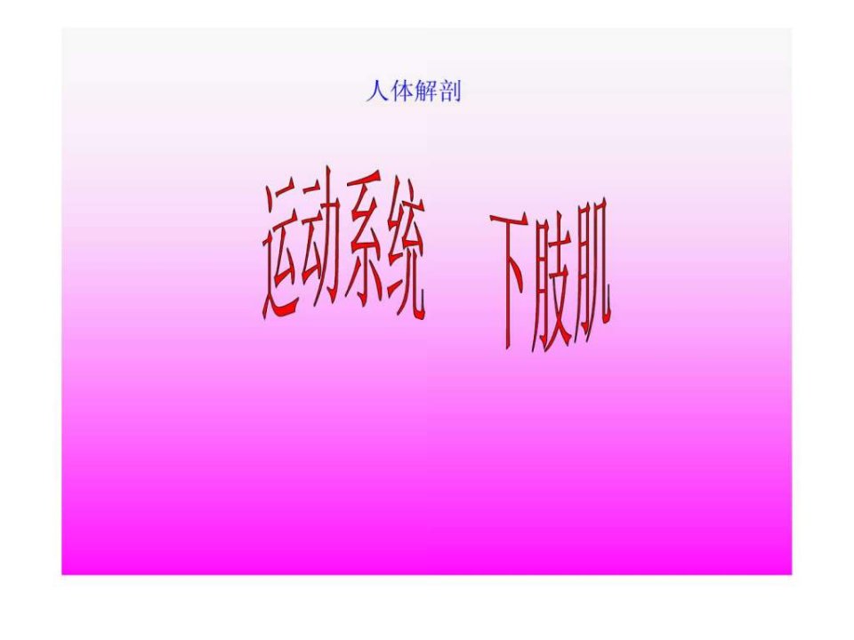 人体解剖-骨骼肌-下肢肌.ppt