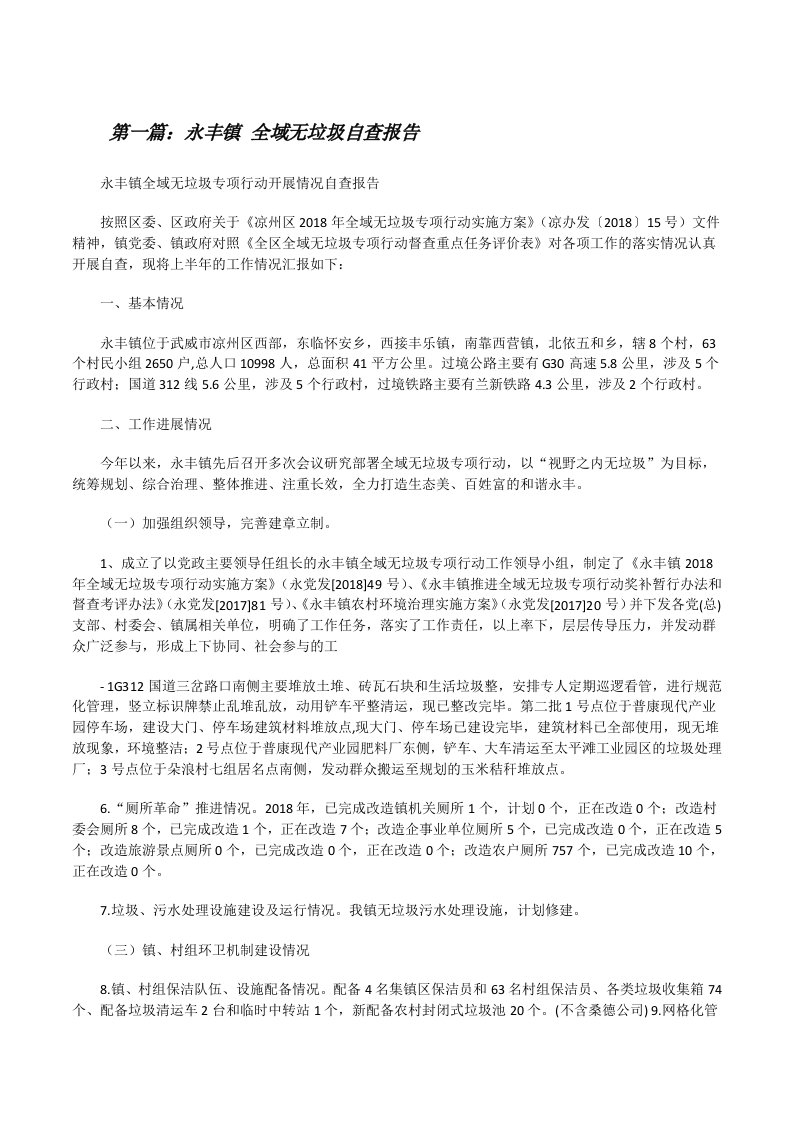 永丰镇全域无垃圾自查报告[修改版]