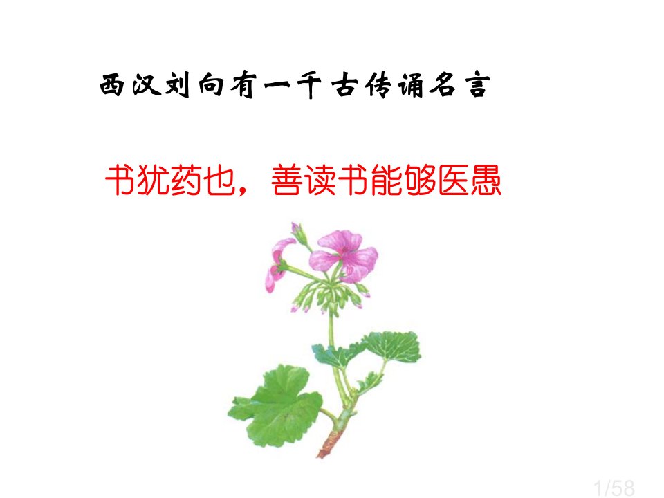 年高考生物试题及参考答案上海卷市公开课获奖课件省名师优质课赛课一等奖课件