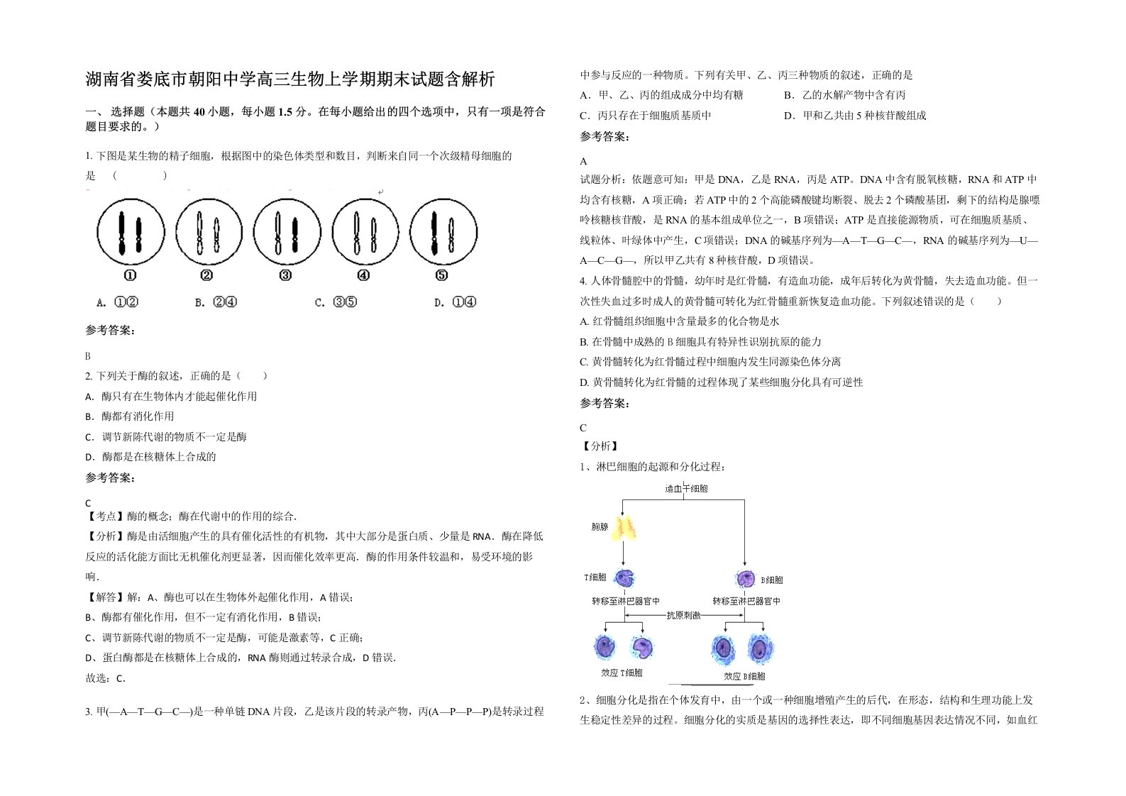 湖南省娄底市朝阳中学高三生物上学期期末试题含解析