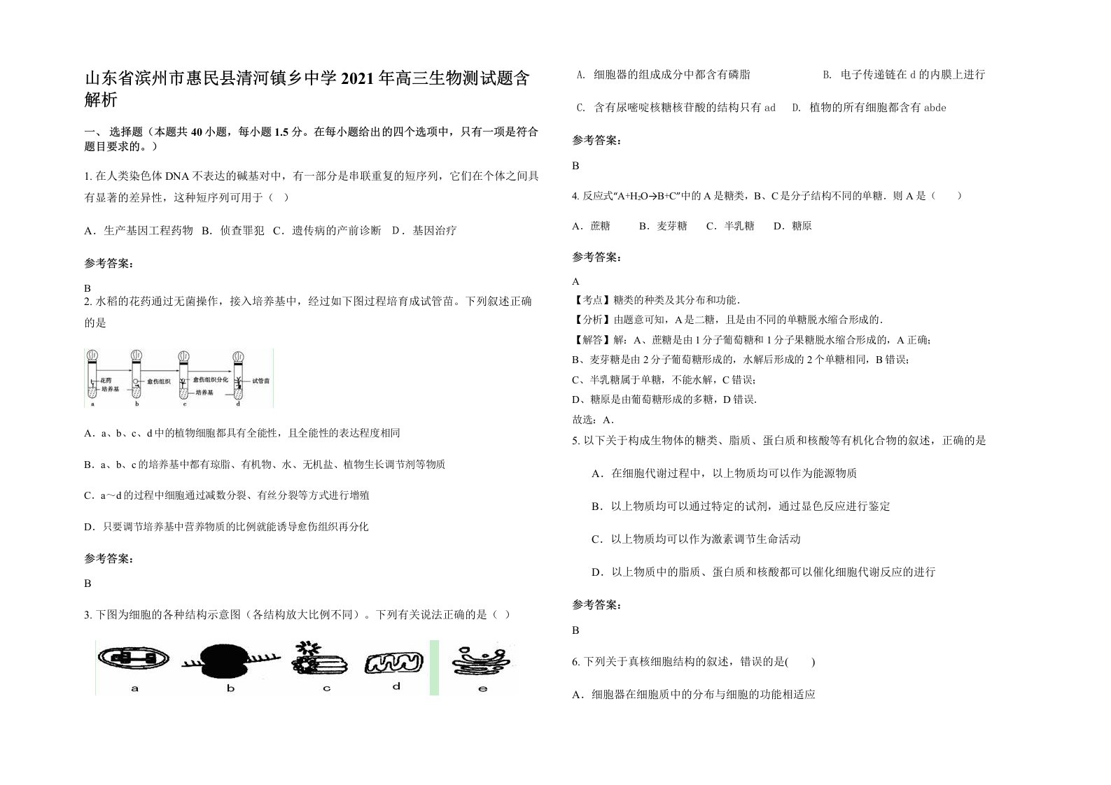 山东省滨州市惠民县清河镇乡中学2021年高三生物测试题含解析