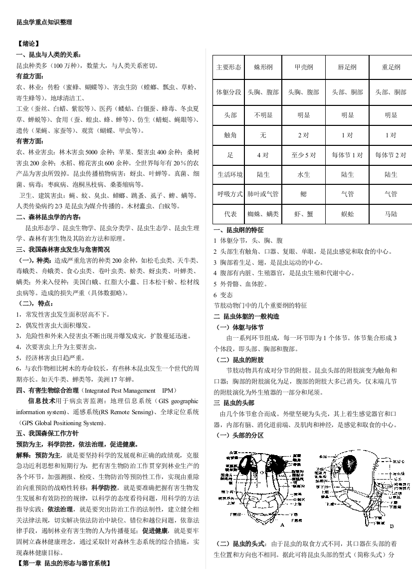 《通俗虫豸学》上学期重点常识回结梳理