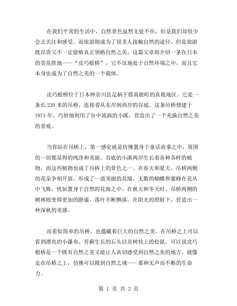 《皮巧根桥》学习教案二：感受自然之美