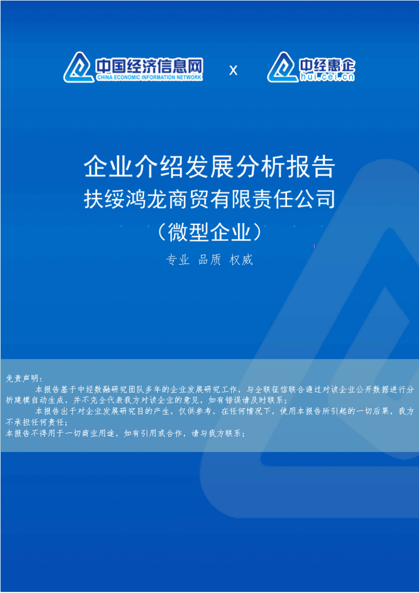 扶绥鸿龙商贸有限责任公司（微型企业）介绍企业发展分析报告