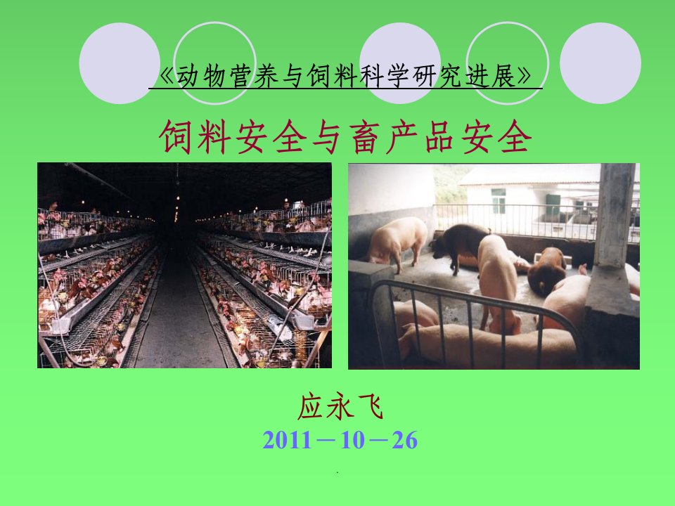 饲料安全与畜产品安全