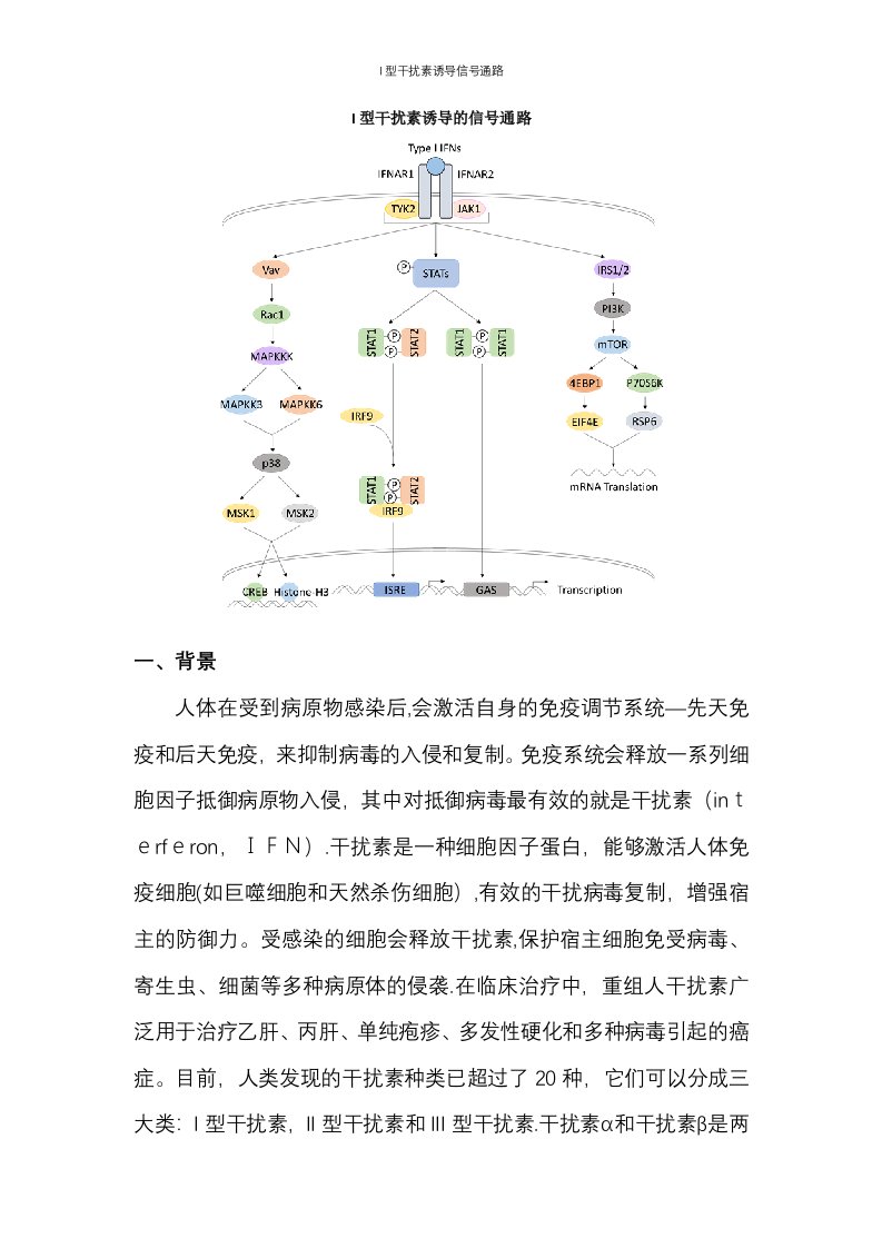 I型干扰素诱导信号通路