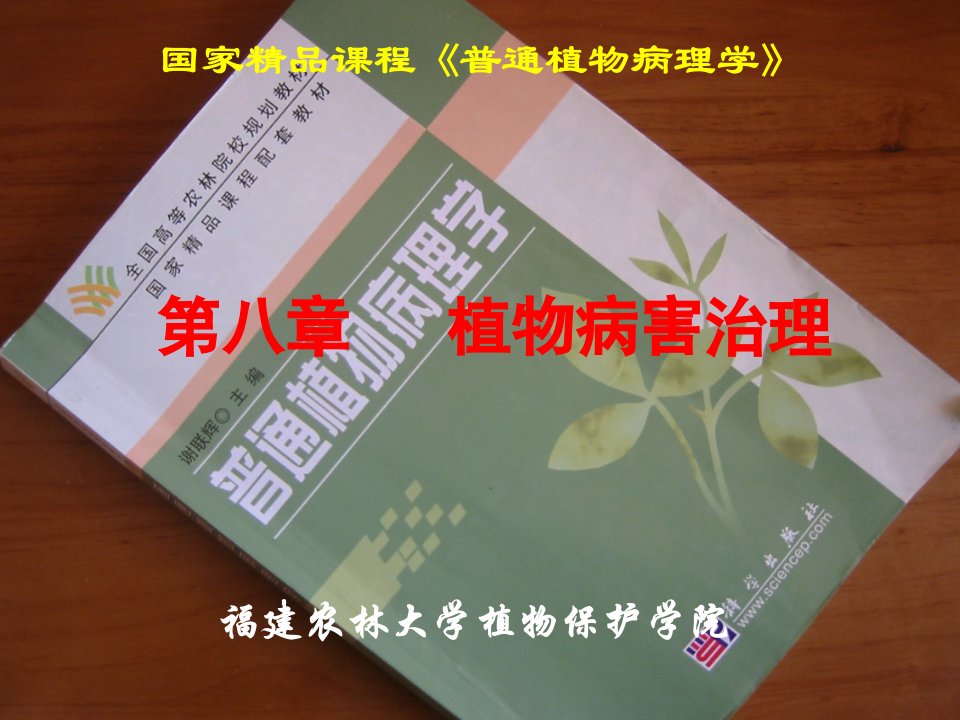 公司治理-第八章植物病害治理