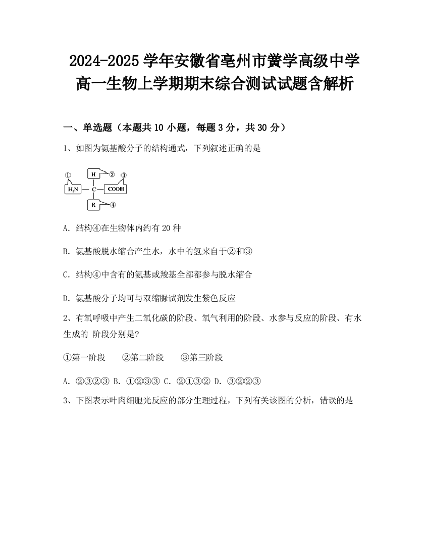 2024-2025学年安徽省亳州市黉学高级中学高一生物上学期期末综合测试试题含解析