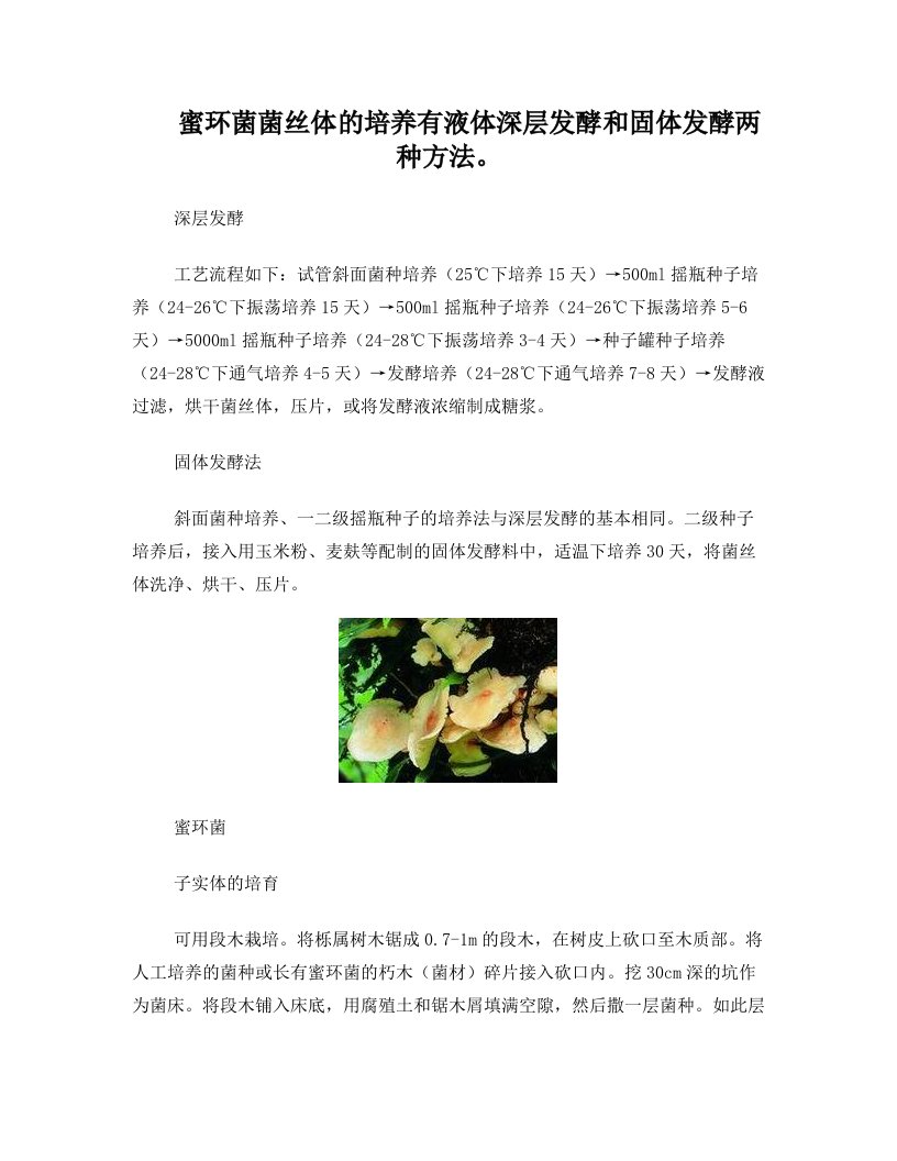 蜜环菌菌丝体的培养有液体深层发酵和固体发酵两种方法