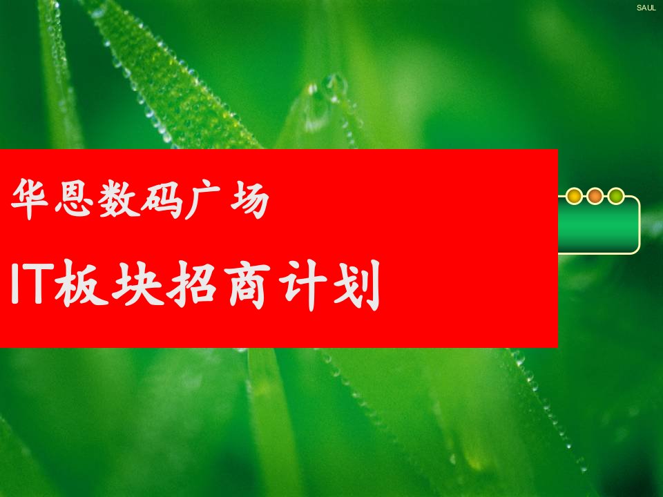 《IT部分招商计划》PPT课件