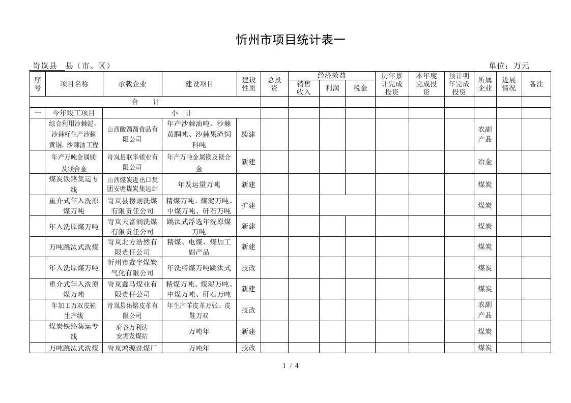 忻州市项目统计表一