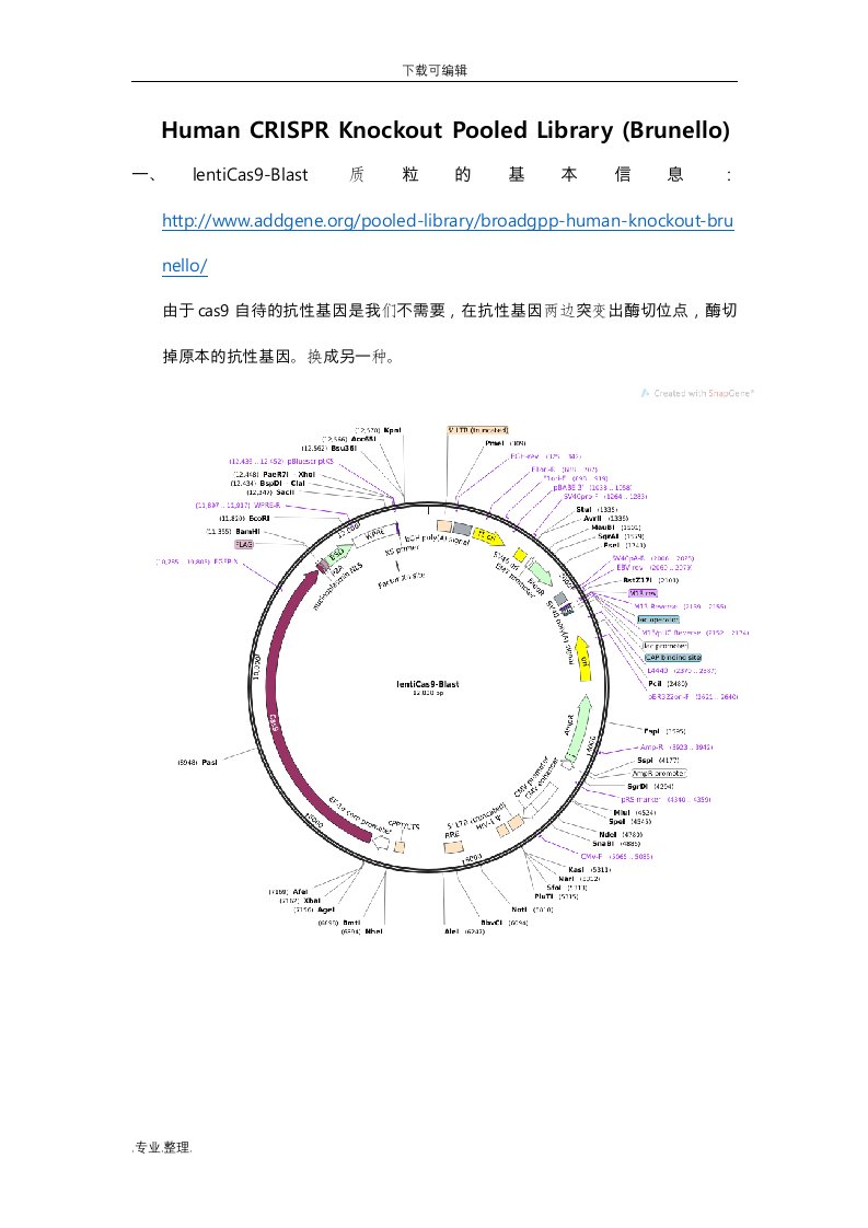 crispr