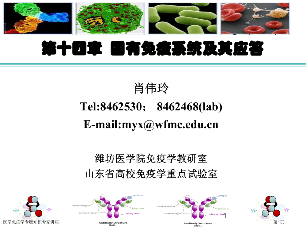 医学免疫学专题知识专家讲座