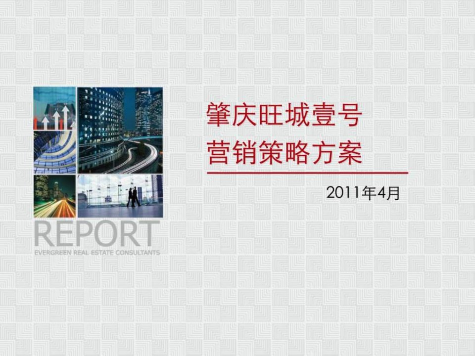 肇庆大旺高新区某住宅项目营销策略方案.ppt