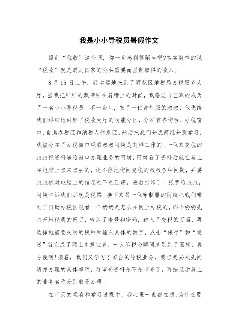 我是小小导税员暑假作文