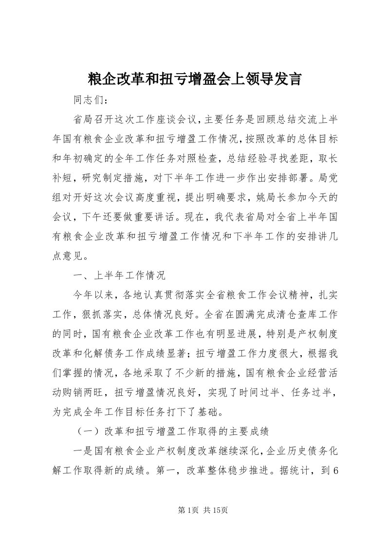 4粮企改革和扭亏增盈会上领导讲话