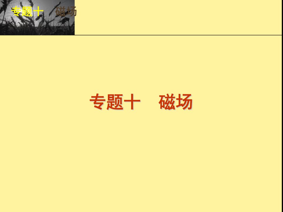 2024届高三物理二轮复习方案专题课件新课标广东专版