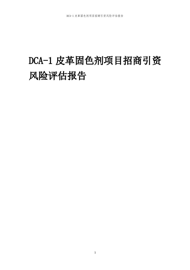 2023年DCA-1皮革固色剂项目招商引资风险评估报告