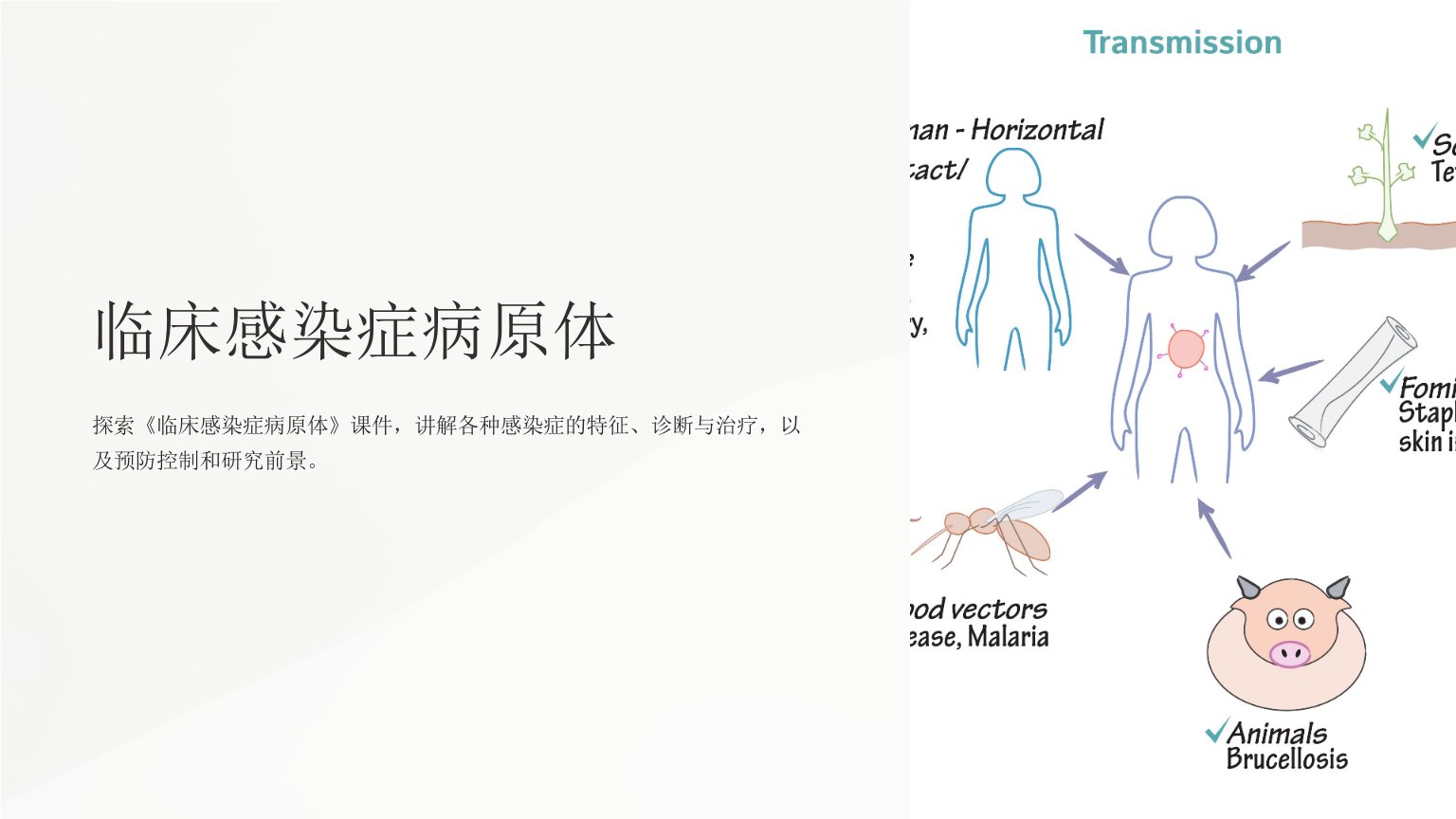 《临床感染症病原体》课件