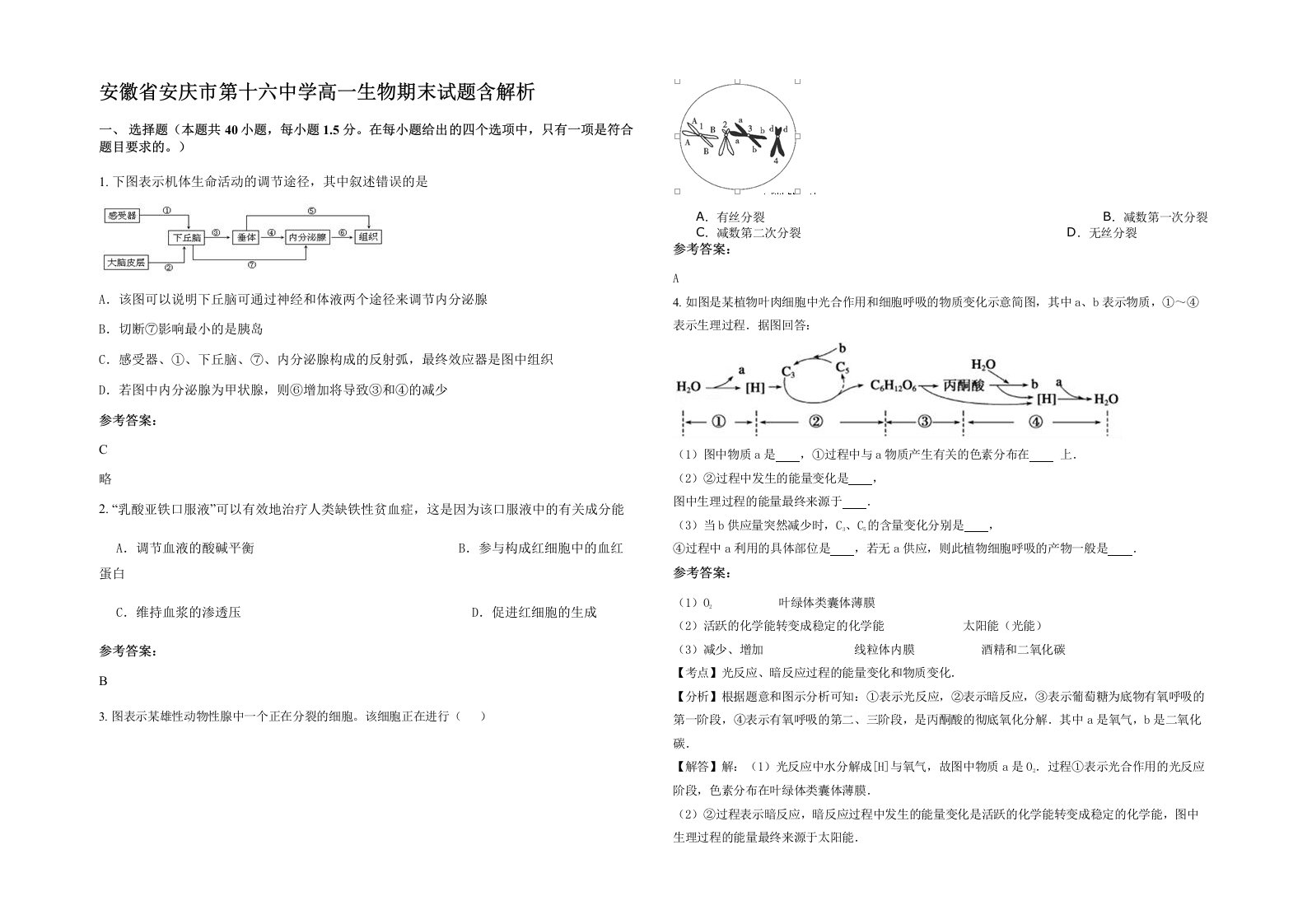 安徽省安庆市第十六中学高一生物期末试题含解析