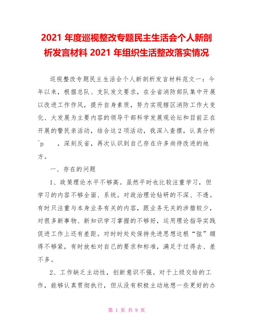 2021年度巡视整改专题民主生活会个人新剖析发言材料