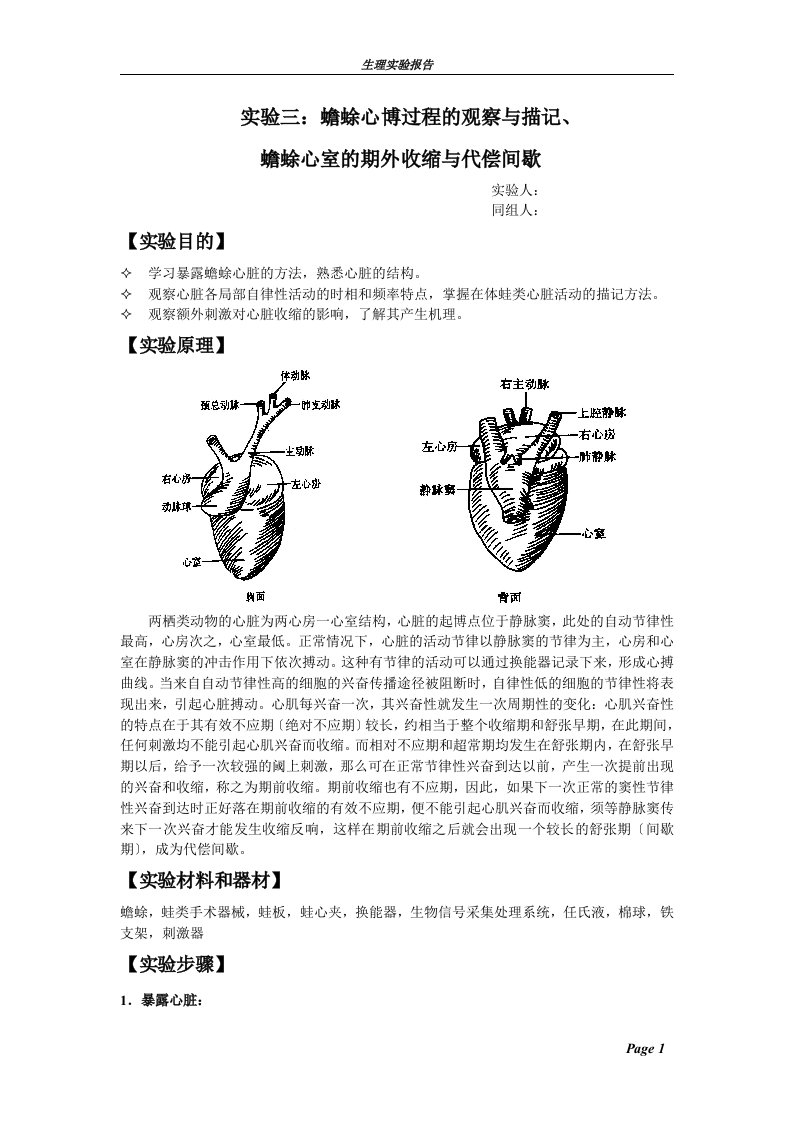 新版【实验报告】蟾蜍心博过程的观察与描记、蟾蜍心室的期外收缩与代偿间歇