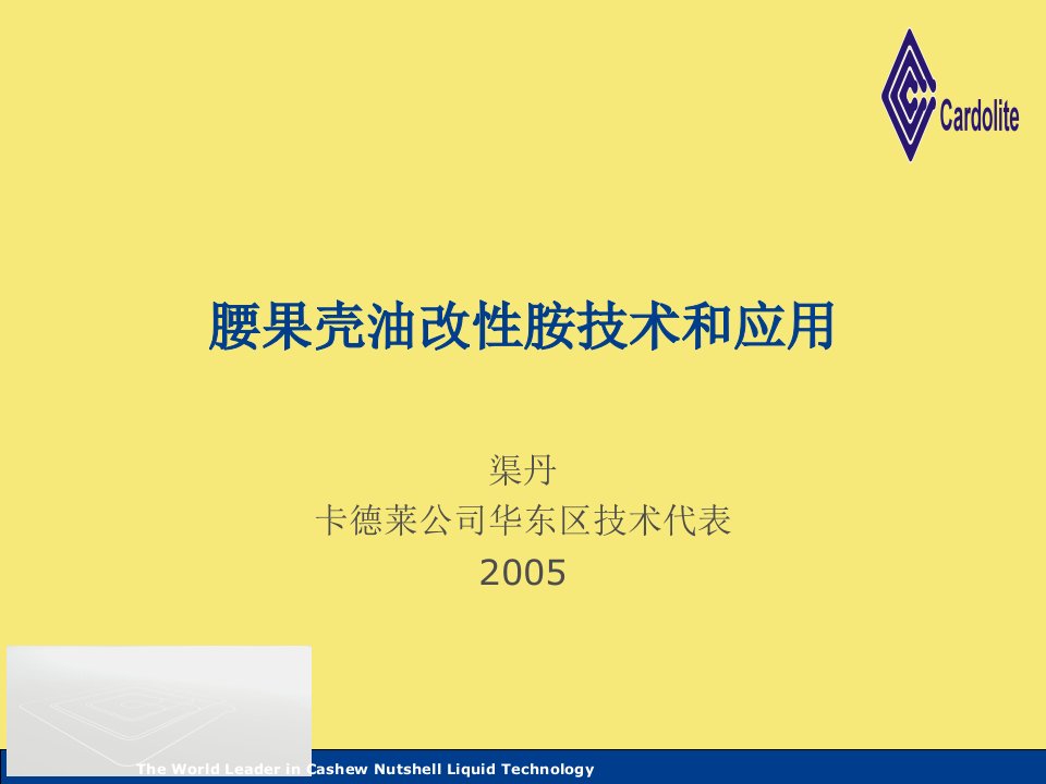 腰果壳油改性胺技术和应用讲座完美版资料