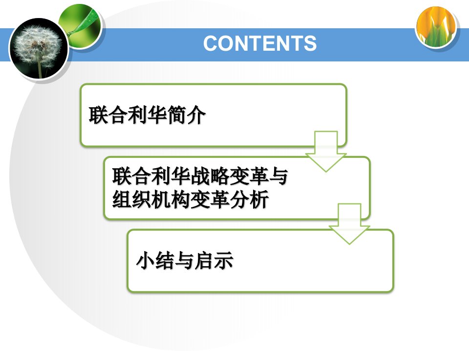 联合利华战略与组织结构变革