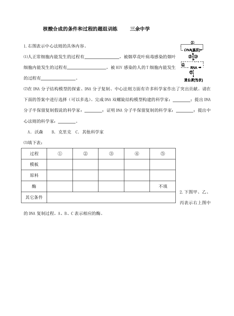 核酸合成的条件和过程的题组训练