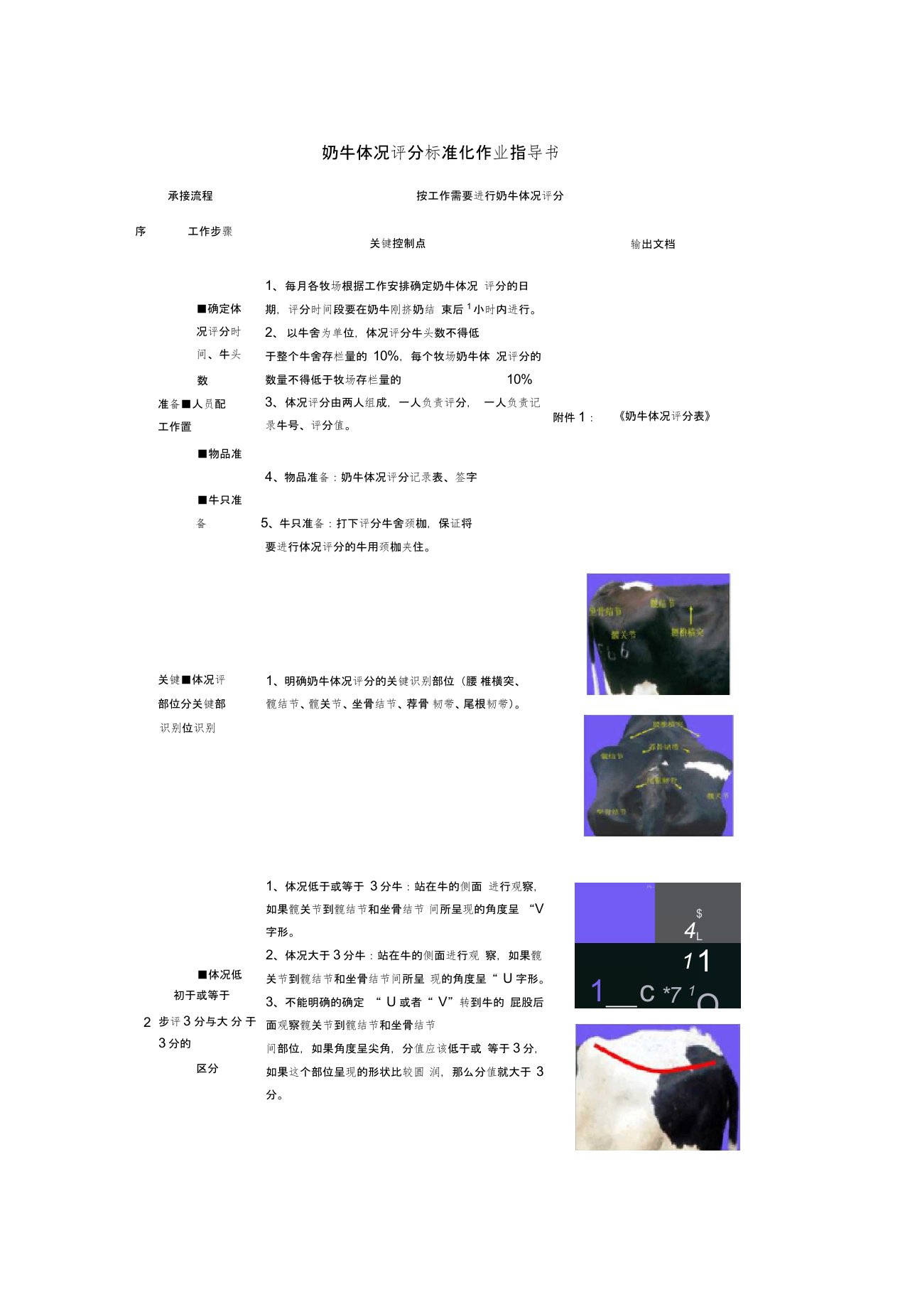 (完整版)奶牛体况评分标准化作业指导书