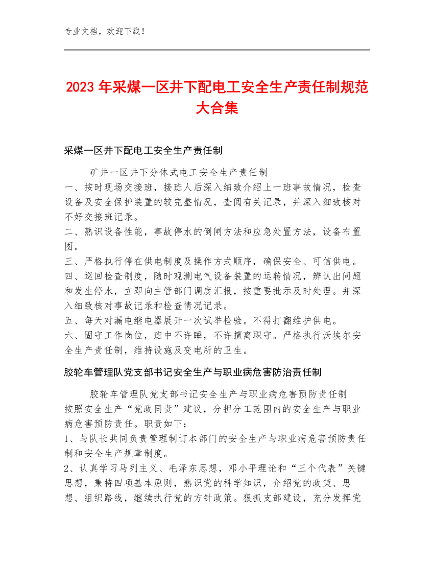 2023年采煤一区井下配电工安全生产责任制规范大合集