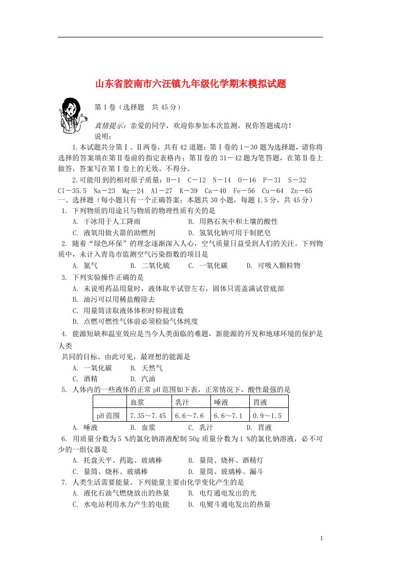 山东省胶南市六汪镇九级化学期末模拟试题