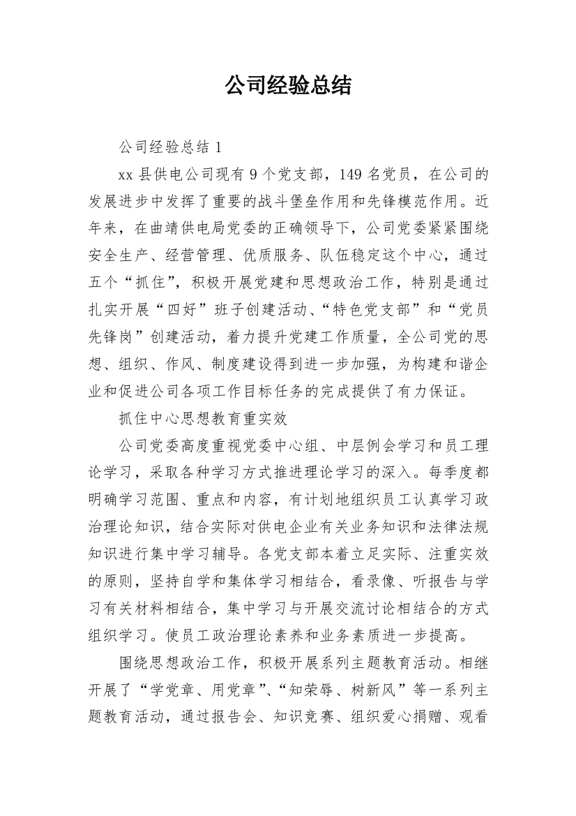 公司经验总结