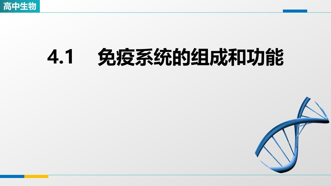 《免疫系统的组成和功能》优质课件