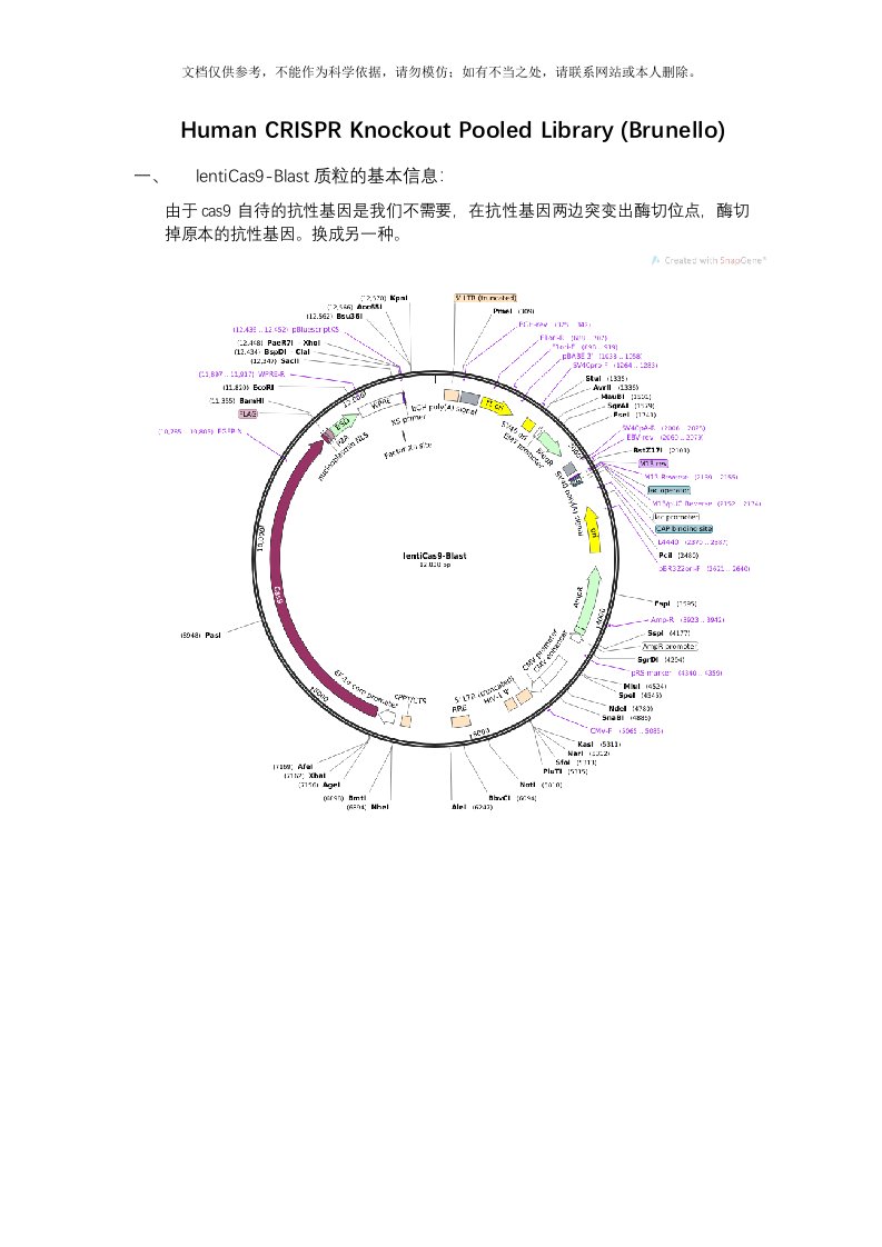 crispr-cas9进行全基因组的筛选