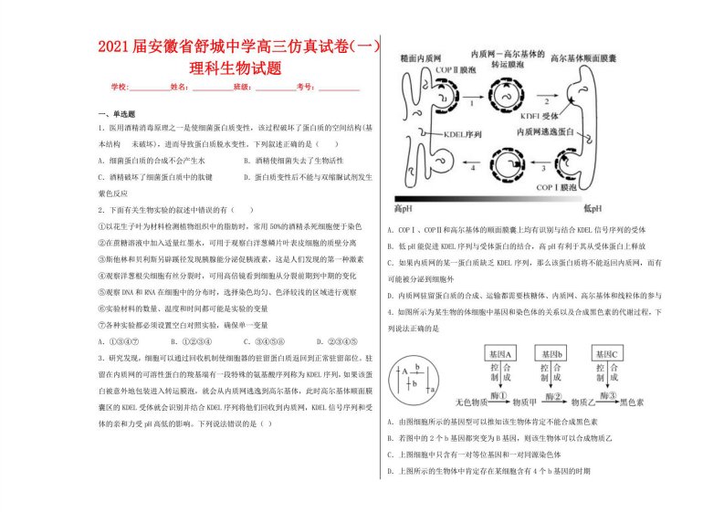 2021届高三仿真试卷（一）理科生物试题