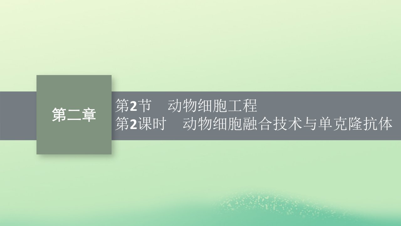 2022_2023学年新教材高中生物第2章细胞工程第2节动物细胞工程第2课时动物细胞融合技术与单克鹿体课件新人教版选择性必修3