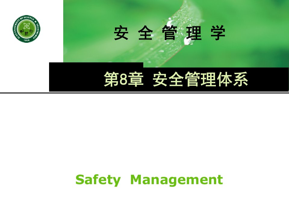 《安全管理学(第2版)》田水承、景国勋第八章安全管理体系ppt课件