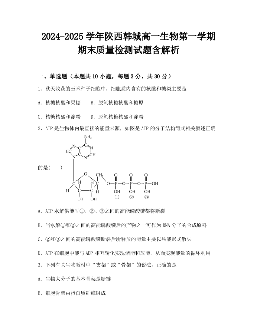 2024-2025学年陕西韩城高一生物第一学期期末质量检测试题含解析