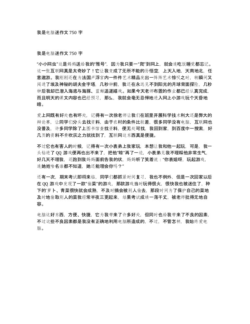 我是电脑迷作文750字