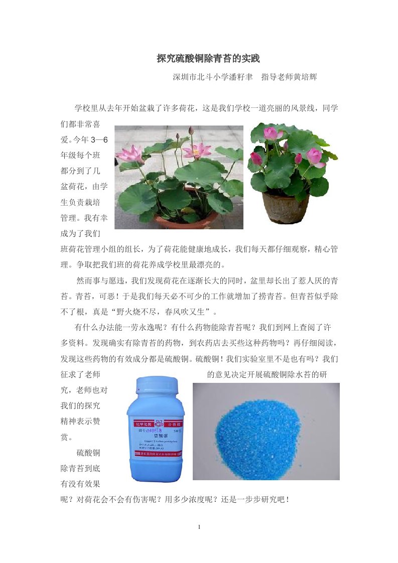 探究硫酸铜除青苔的实践