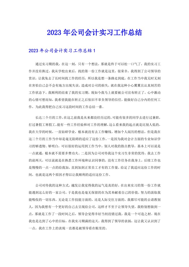 2023年公司会计实习工作总结